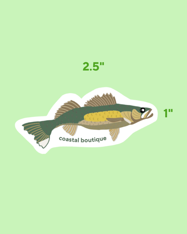 Walleye Sticker